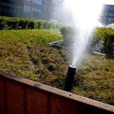 daktuin beregening daktuinen tuin stadstuinen