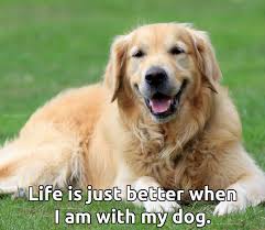 Life Is Just Better When I Am With My Dog Dog Remedies Dog Coughing Natural Home Remedies