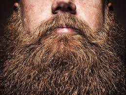 Some red and brown hairs where growing about my face, but not many. Why Your Beard Is Red Even If Your Hair Isn T Gq