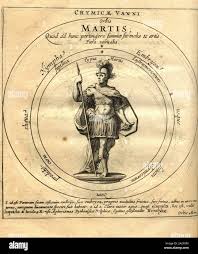 Molis hi-res stock photography and images