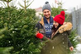 We may earn commission from links on this page, but we only recommend products we back. Here S Where To Buy A Christmas Tree In Westchester