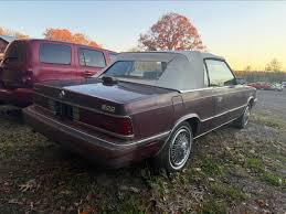 Image result for Heather Rose 1955 Dodge