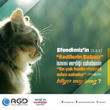 Agd Anadolu Genclik On Twitter Efendimiz In S A S Kedilerin Babasi Ismini Verdigi Sahabenin En Cok Hadis Rivayet Eden Sahabe Oldugunu Biliyor Muydunuz Dunyakedilergunu Https T Co L9fhigcttc