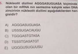 Her yıl değişen hatta yıl içinde bile değiştirilebilen üniversite sınavının ardından paylaşılan en komik tweetler Yks Tiwitleri Ar Twitter Nukleotit Kardes Komik Bisey Varsa Soyle De Biz De Gulelim