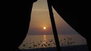 Ma Musique Lyrics By Joe Dassin Original Song Full Text Official Ma Musique Lyrics 2021 Version Lyricsmode Com
