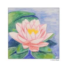 Скачайте стоковое фото seerosenblatt seerosenbluete seerosenbl tter te. Pink Klecks Kunstwerkstatt Anna Mayer Salzburg Seerose