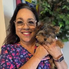 Tampa Bay Veterinarians