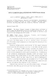 Image result for Panda oleosa