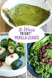 How To Eat Perilla 10 Ways To Enjoy Them In Korean Cooking Korean Cooking Shiso Recipe Asian Vegetarian Recipes