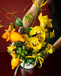 Image result for Solanum mammosum