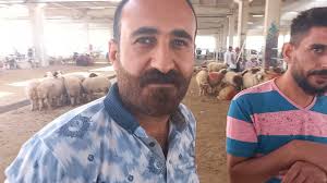 Urfa Pazarinda Satlık 11 Halep Keçisi