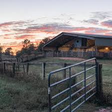 Profile for Ashlyn Waters