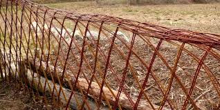 Ce produit est fait pour vous ! Le Tressage D Osier Vivant