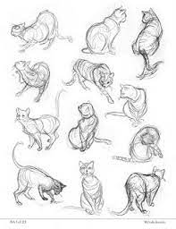 Cat gesture drawings by artifedex on deviantart. Michelle Ikemoto S Portfolio Animal Drawings Drawings Animal Sketches