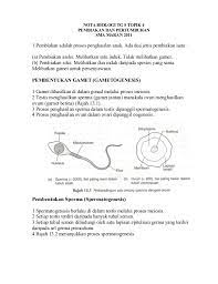 Koleksi soalan, latihan, nota biologi (biology) tingkatan 5 (spm) + jawapan. 17 Nota Biologi Tingkatan 5 Yang Power Untuk Murid Dapatkan Pendidikan Abad Ke 21