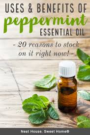 It strengthens the hair cells with sufficient conditioning and treats dry scalp issues like dandruff, itchy scalp, flaky scalp, etc. 20 Common Peppermint Oil Uses And Benefits Neat House Sweet Home