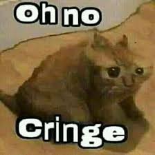 O comentador afirma que estamos perante uma geração cada vez mais tímida e com medo do ridículo, mas o ser 'cringe' é sinal de que se está cá fora a fazer parvoíces. E Cringe Falar Cringe Memes Engracados Rostos De Meme Imagens Hilarias