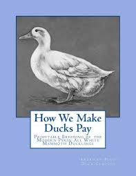 Maybe you would like to learn more about one of these? How We Make Ducks Pay Profitable Breeding Of The Modern Pekin All White Mammoth Ducklings