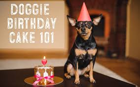 When it comes to birthday cake safe for dogs, your pooch can easily get satisfied. Dog Birthday Cake 101 Easy Recipes For Dog Cakes And Pupcakes My First Shiba Inu