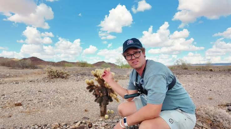 In this video, I drive over 300 miles into the California desert to show you exactly why the jumping cholla cactus is so dangerous. The jumping cactus (also known as cholla cactus, pronounced ...
