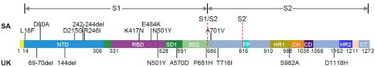 Modeling work done by cdc scientists suggests that unless the pace of. 6 S7i3a2wg9hkm