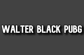 Walter Black Pubg Mobile Mod Apk V3 Apk App Hack Game Codes Mobile Game