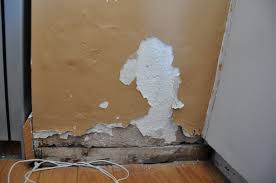 Why does the plaster inside my house chip easy? Repairing Bubbling Blown Plaster On An Interior Wall Home Improvement Stack Exchange