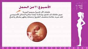 465 ضالكثير من حديثي زواج واصبحوا فاول شهور حمل وتصعب عليهم اشياء كثيره. Ø§Ù„Ø£Ø³Ø¨ÙˆØ¹ 21 Ù…Ù† Ø§Ù„Ø­Ù…Ù„ Ø§ÙŠ Ø´Ù‡Ø± ÙƒÙ†Ø¬ ÙƒÙˆÙ†Ø¬