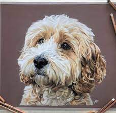 Sophie Fois On Instagram This Cute Little Cockerpoo Bali Was An Absolute Joy To Do Just Dog Portraits Painting Animal Portraits Art Pet Portrait Paintings