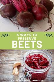 Drain and run cold water over beets. 5 Ways To Preserve Beets Homespun Seasonal Living