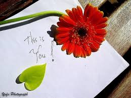 Check spelling or type a new query. Stony Point Florist Find A Florist In A City Near You