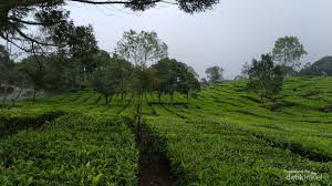 We did not find results for: Usaha Agraris Di Indonesia Ini Cakupan Penjelasan Dan Contoh Hasilnya