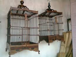 Burung ini dinamakan lovebird karena hidupnya selalu berdampingan dan saling menyayangi satu sama lain. Cara Membuat Kandang Sangkar Kenari Contoh Gambar Dan Ukuran