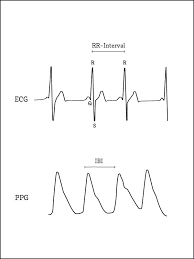 What Is Heart Rate Variability What Hrv Tells You About