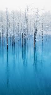 Iphone 5 Top Rated Wallpaper Ios 7 Wallpaper Iphone Wallpaper Landscape Winter Wallpaper
