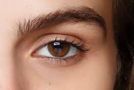 Schritt für schritt ausführung in bildern. Naturliches Make Up So Gelingt Der Runway Trend