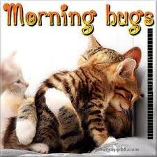 75 Funny Good Morning Memes To Kickstart Your Day Funny Good Morning Memes Good Morning Hug Morning Quotes Funny