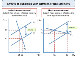 Producer Subsidies Government Intervention Economics