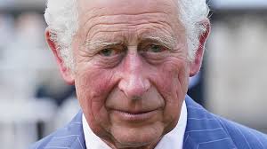 King Charles Appears Unbothered In First Appearance Since Meghan And  Harry's Controversial Doc