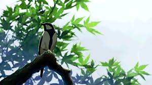 Animated Gif Bird Is The Word Gif Https Encrypted Tbn0 Gstatic Com Images Q Tbn 3aand9gcq9n1pzvoesywad49a22g5x3qvpopsv7rxa0q Usqp Cau