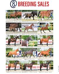 Oldenburg Breeding Sales | Oldenburger Pferdezuchtverband