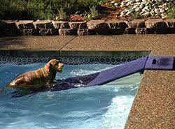 Doggy Boat Ladder Dog Pool Ramp Dog Pool Dog Ramp