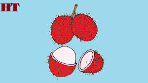 How To Draw Rambutan Fruit Step By Step Drawings Fruits Drawing Drawing Tutorial