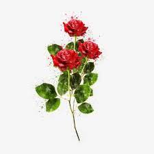 Ramo De Rosas Rojas Decoradas Rosa Roja Ramo De Flores Rojo Png Y Psd Para Descargar Gratis Pngtree In 2021 Red Rose Png Red Roses Red Rose Bouquet