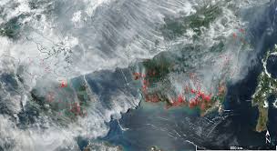 We did not find results for: Covid 19 Southeast Asian Haze And Socioenvironmental Epidemiological Feedbacks Lse Southeast Asia Blog