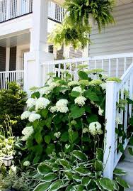 Feng Shui Im Garten Pflanzen Nach Den Funf Elementen Auswahlen Feng Shui Garten Garten Bepflanzen Und Hortensien Garten