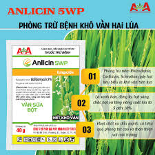 Anlicin 5WP