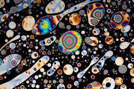 Ces Photographies Artistiques Sont Des Organismes Vivants Photographie Artistique Photographie Artiste