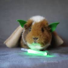 [Image: images?q=tbn:ANd9GcS_ZdwuuwQd7gzi4-DuiO9...pblX414bMA]