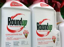 The herbicide is rainproof after 30 minutes, and you should start seeing results, with the. Roundup Weed Killer Substantial Factor In Causing Man S Cancer Jury Finds The Independent The Independent